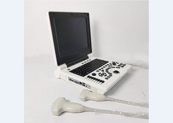 पोर्टेबल लैपटॉप हैंडहेल्ड ब्लैडर स्कैनर कलर अल्ट्रासाउंड सिस्टम 2 प्रोब कनेक्टर्स के साथ