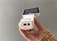 व्यावसायिक लिथियम बैटरी के साथ एंडोस्कोप कान कैमरा डिजिटल वीडियो ओटोस्कोप