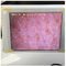 सफेद वाईफ़ाई त्वचा नमी परीक्षक आईपैड में फोटो प्रदर्शित करने के साथ त्वचा नमी सेंसर