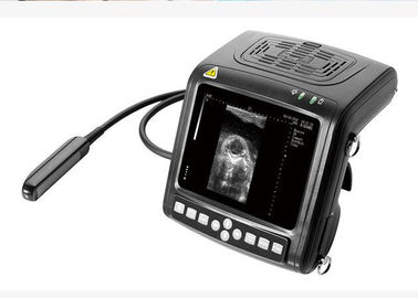 हाथ में Vet B / W अल्ट्रासाउंड स्कैनर नैदानिक ​​उपकरण मल्टी - आवृत्ति जांच