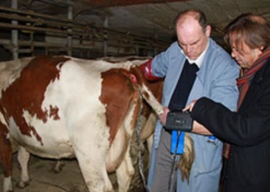 डिजिटल पशु चिकित्सा अल्ट्रासाउंड स्कैनर